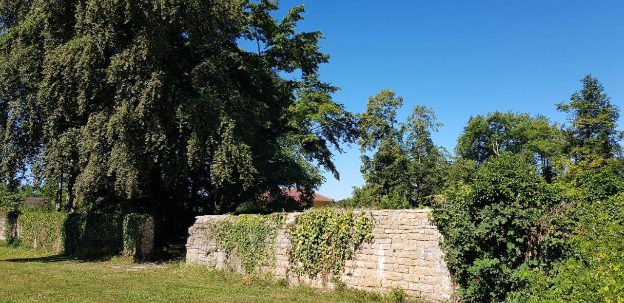 Le 49 Cote Parc & Spa Domblans エクステリア 写真